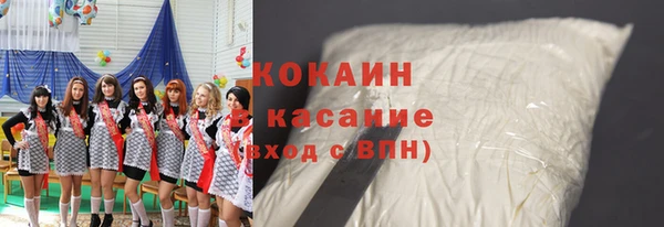 стафф Алексин