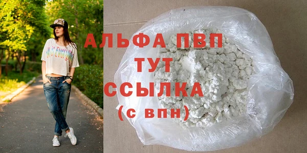 стафф Алексин