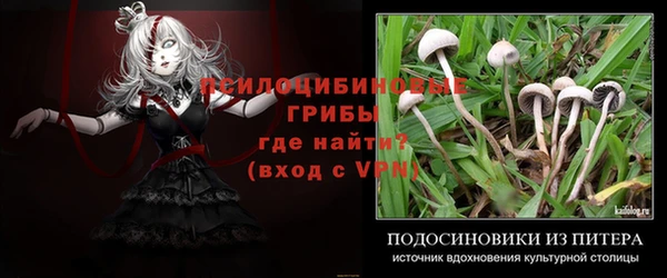 стафф Алексин