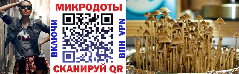 маркетплейс наркотические препараты Петровск Галлюциногенные грибы Magic Shrooms